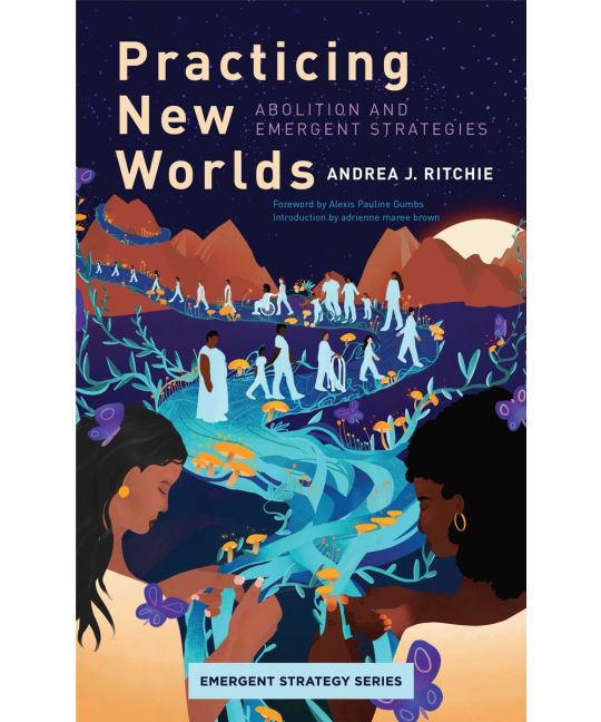 Practicing New Worlds: Abolition and Emergent Strategies by Andrea J. Ritchie