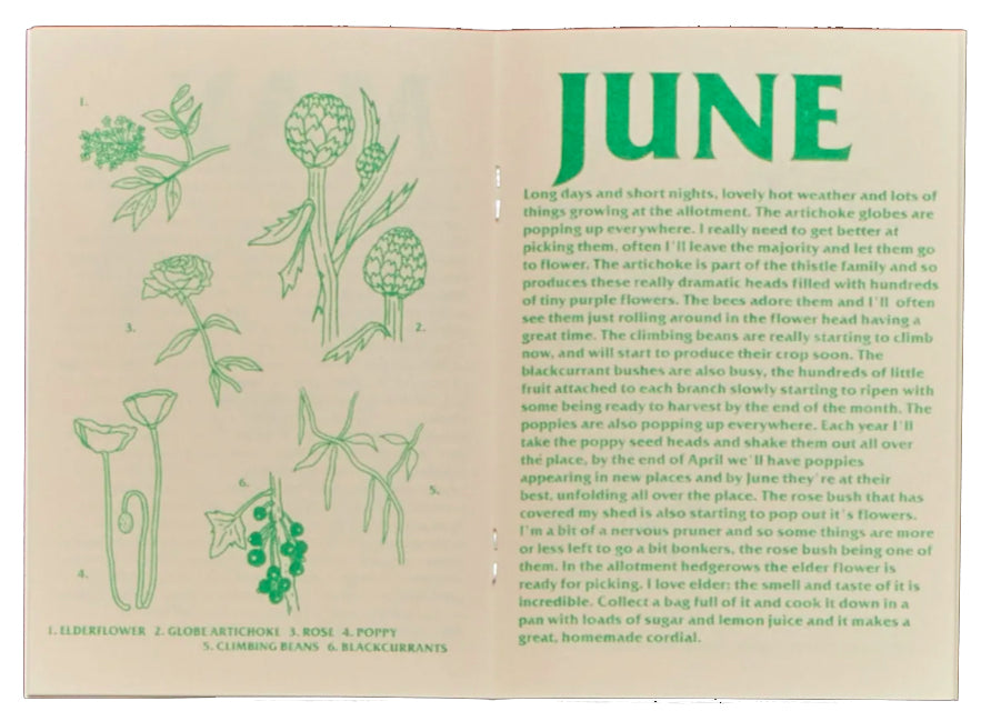 A Year in the Allotment zine by Black Lodge Press
