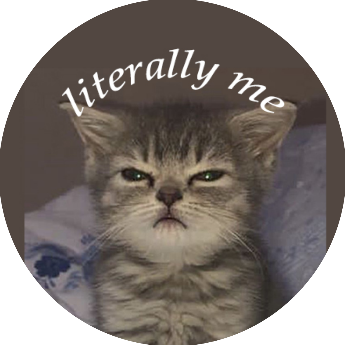 Literally Me: Kitten badge