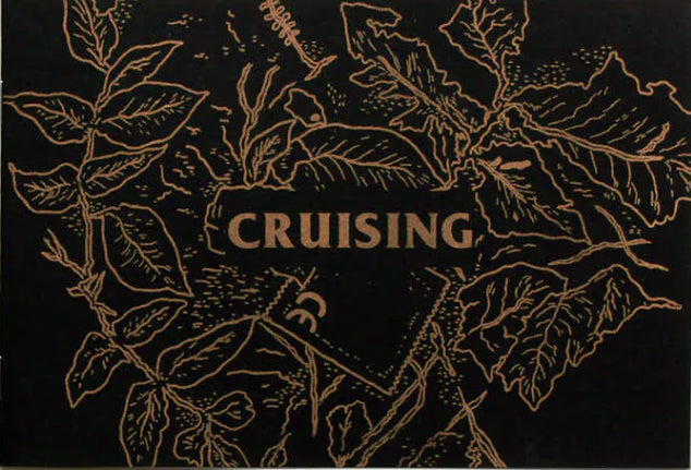 Cruising zine by Black Lodge Press