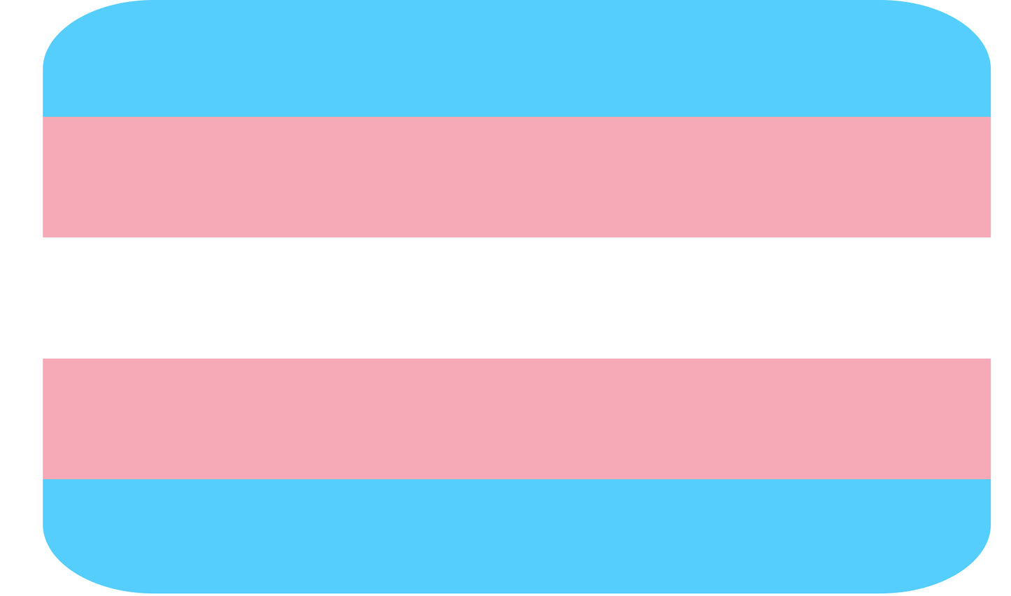 Trans Pride Flag Sticker