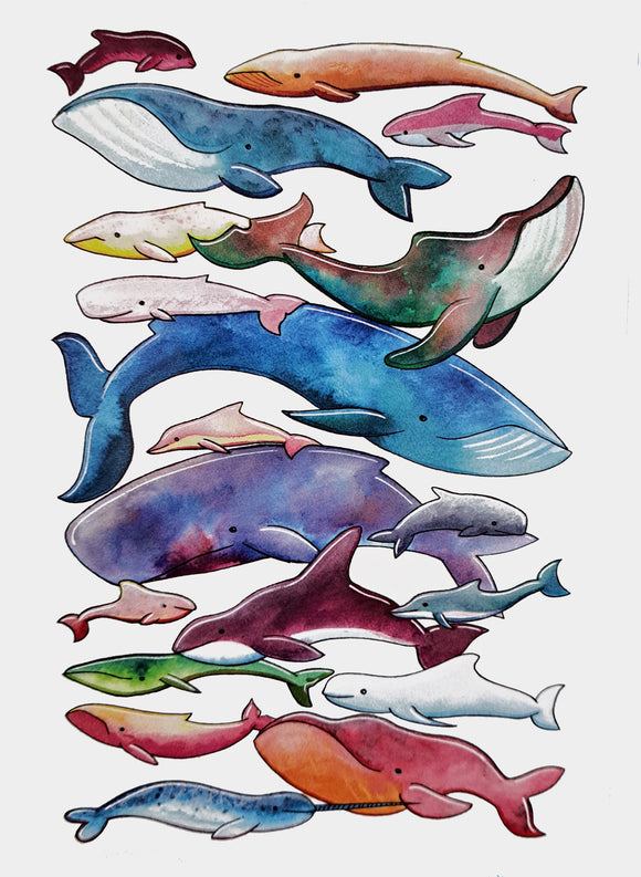 Whales and Dolphins greetings card