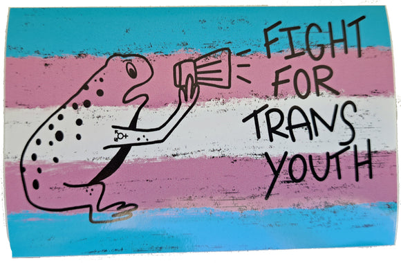 Fight for Trans Youth sticker