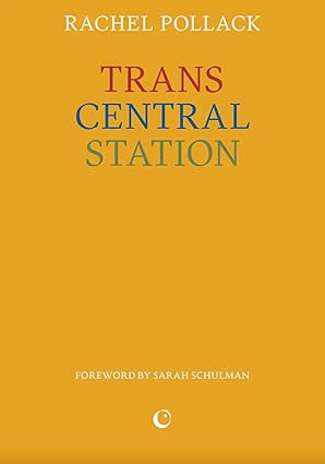 Trans Central Station by Rachel Pollack