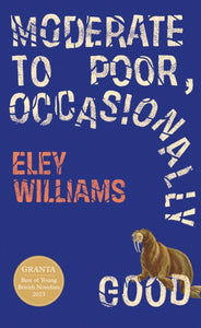 Moderate to Poor, Occasionally Good by Eley Williams