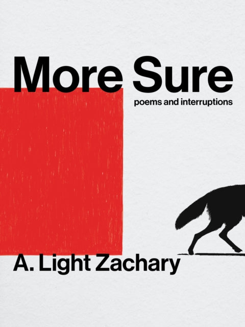 More Sure by A.Light Zachary