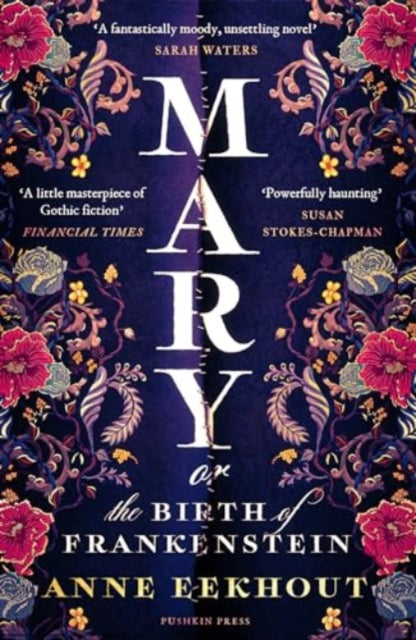Mary: or, The Birth of Frankenstein by Anne Eekhout