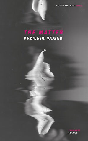 The Matter by Padraig Regan