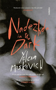 Nadezdha in the Dark by Yelena Moskovich