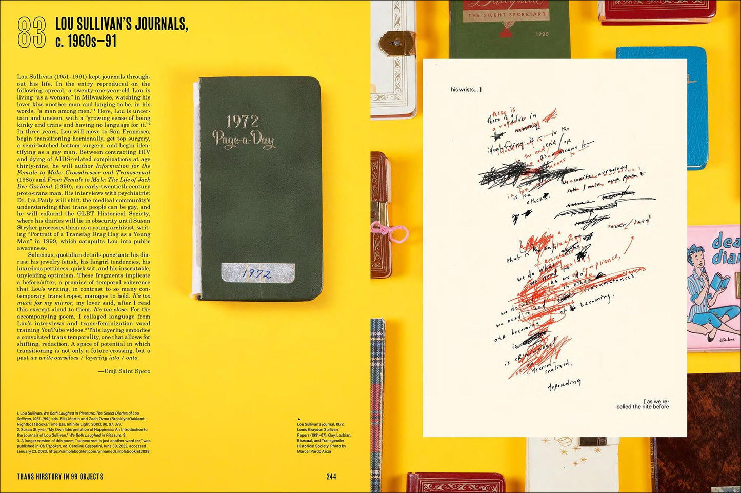 Trans Hirstory in 99 Objects edited by David Evans Franz, Christina Linden, Chris E. Vargas