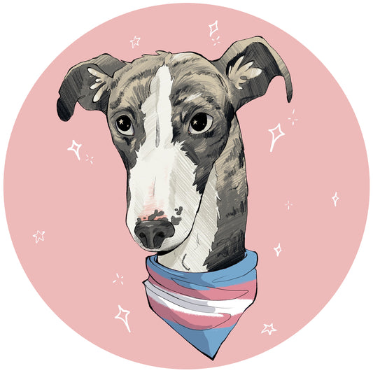Martha Says Trans Rights Sticker