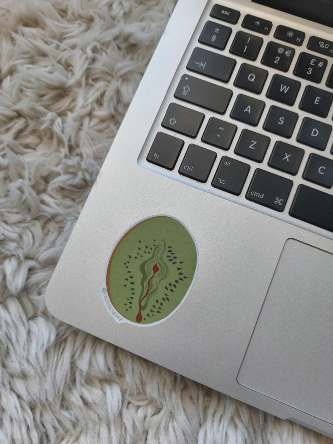 Vulva Sticker: Kiwi