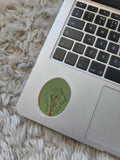 Vulva Sticker: Kiwi