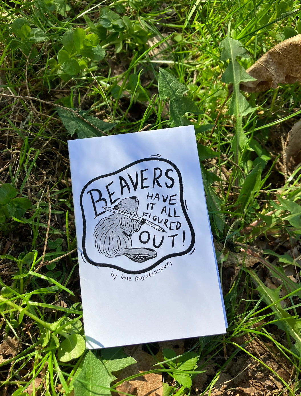 Beavers Mini Zine