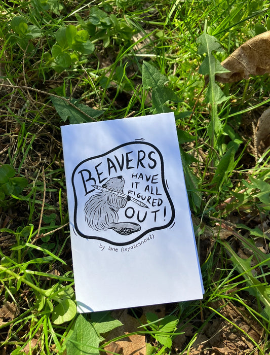 Beavers Mini Zine