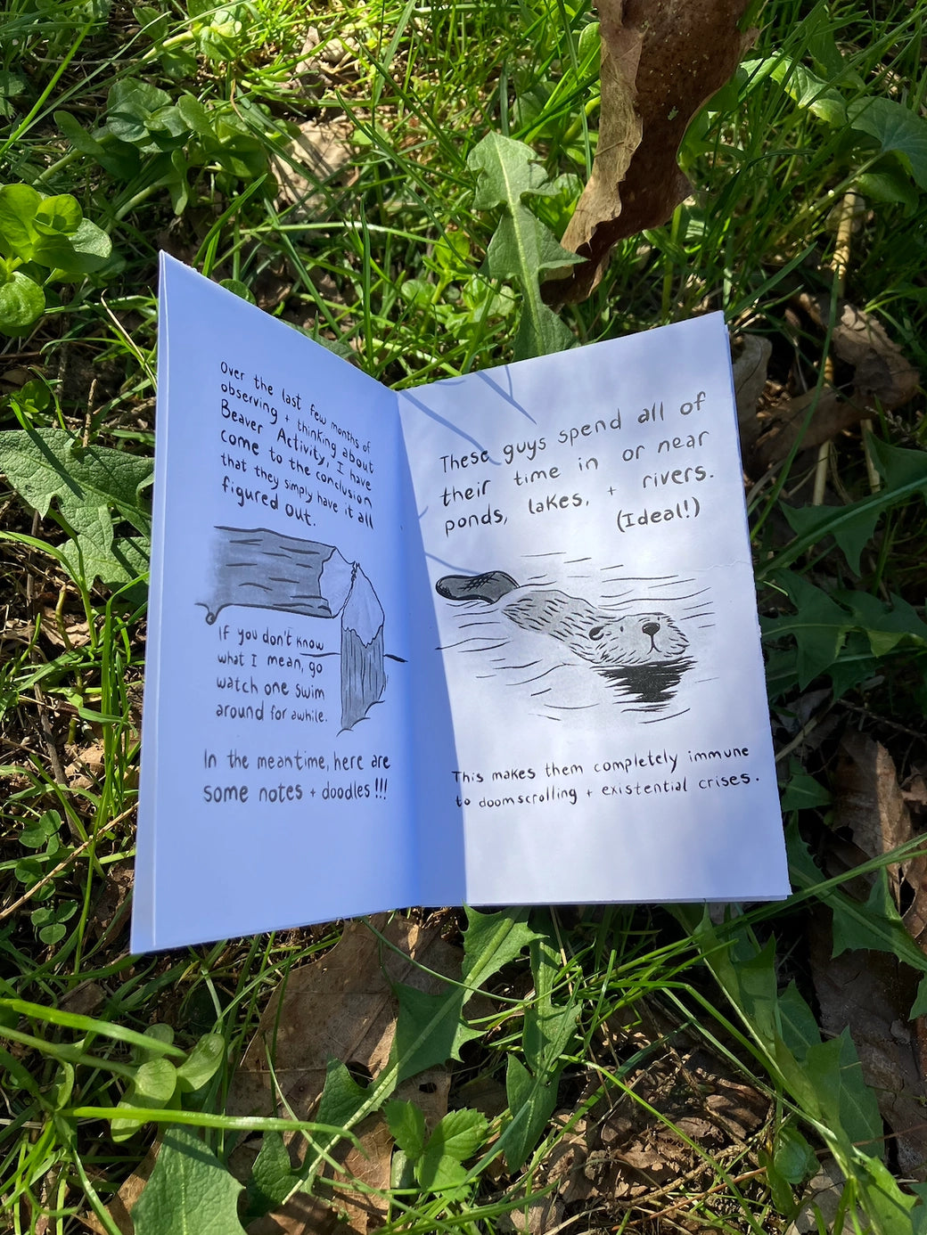 Beavers Mini Zine