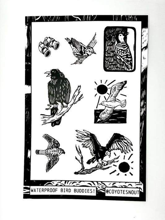 Bird Buddies vinyl sticker sheet
