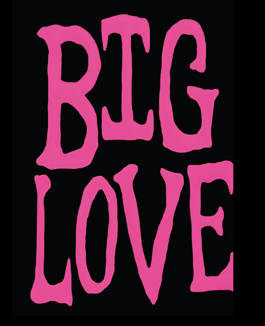 BIG LOVE BOOK by George Storm Fletcher