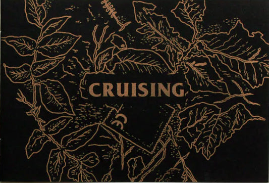 Cruising zine by Black Lodge Press