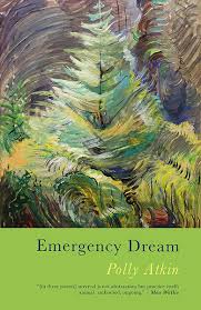 Emergency Dream by Polly Atkin