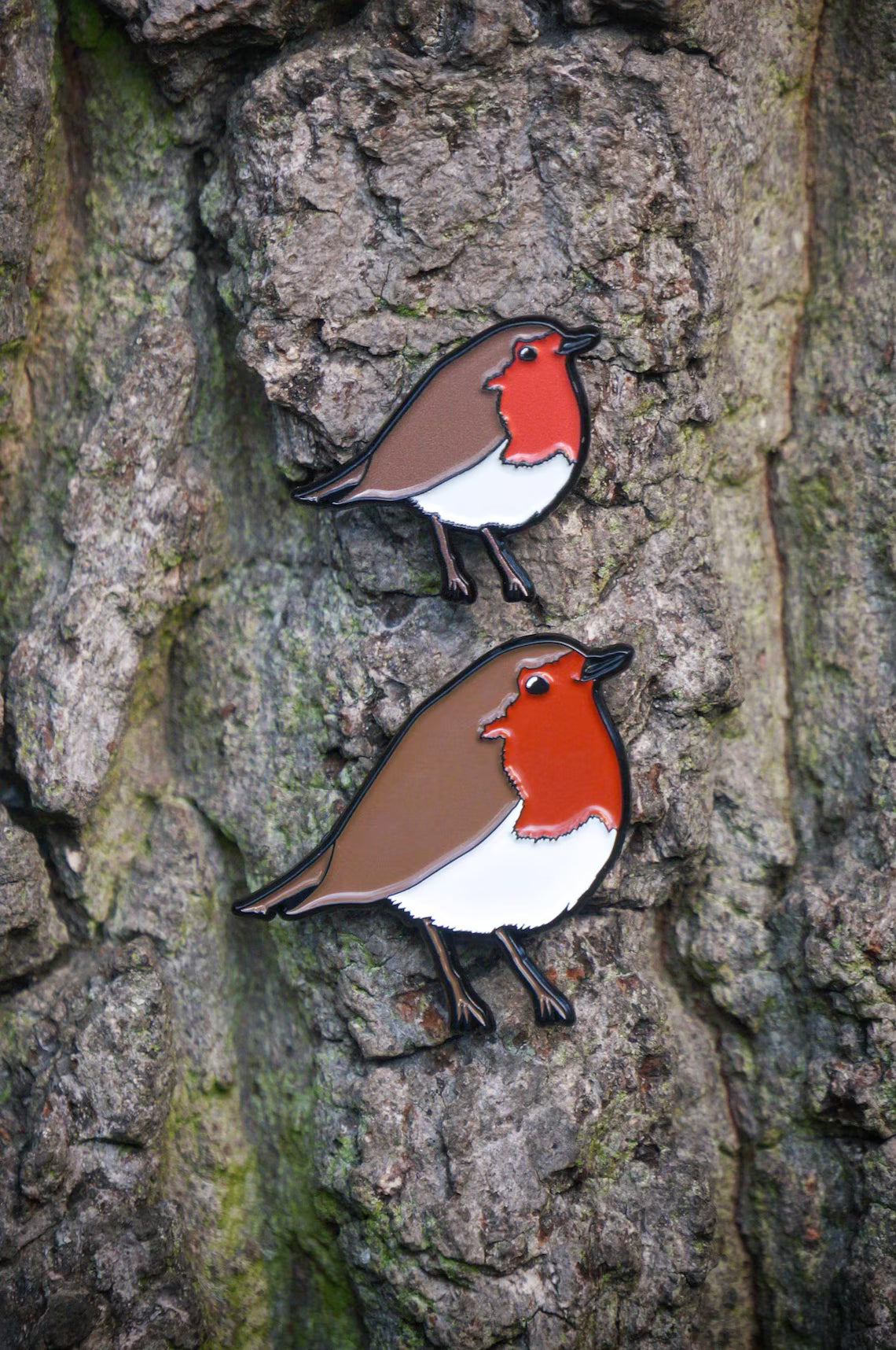 Robin Bird Pin