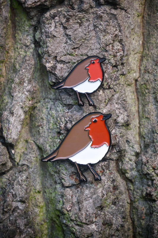 Robin Bird Pin