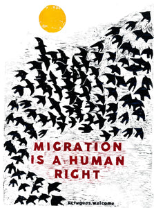 Migration is a Human Right sticker