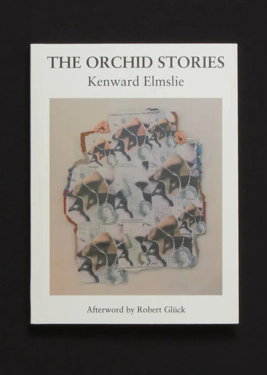 The Orchid Stories by Kenward Elmslie