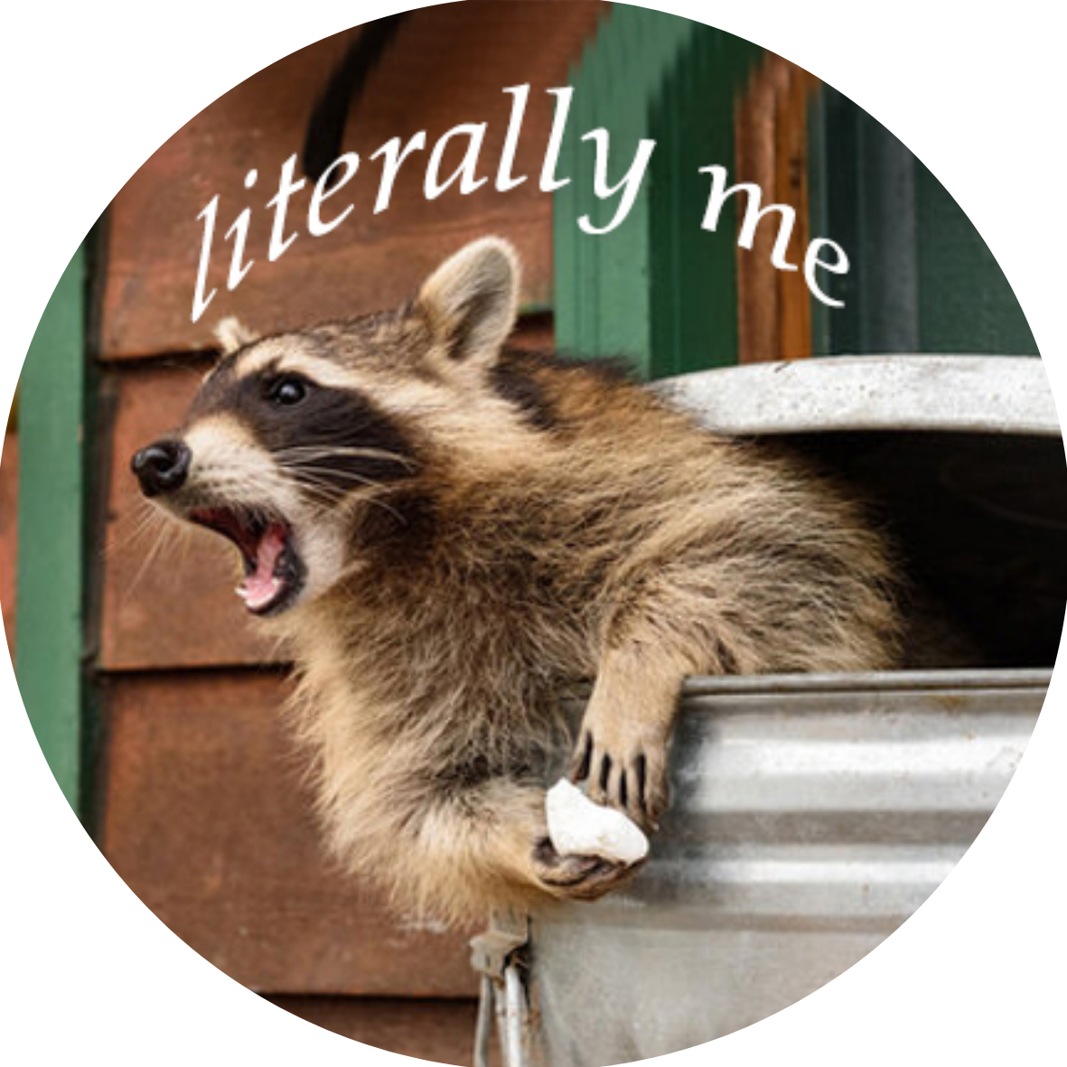 Literally Me: Racoon badge