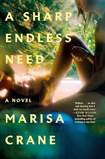 *DAMAGED* A Sharp Endless Need by Marisa Crane