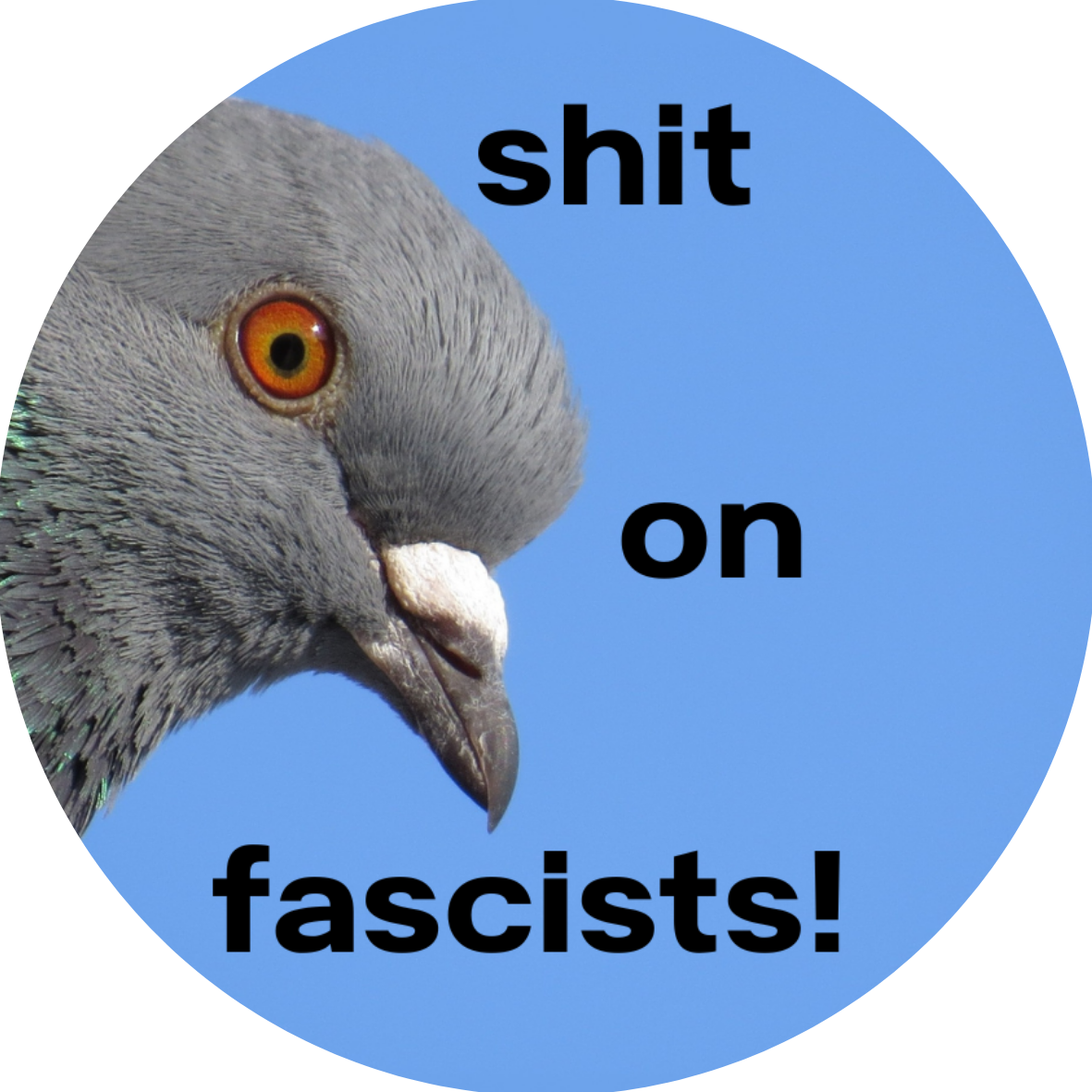 Shit on Fascists Pigeon badge
