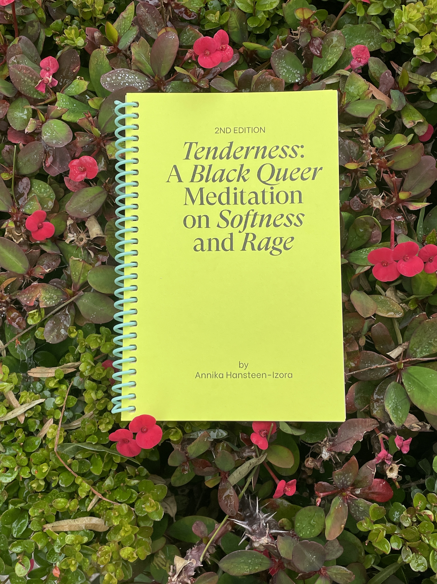 Tenderness: A Black Queer Meditation on Softness and Rage by Annika Hansteen-Izora