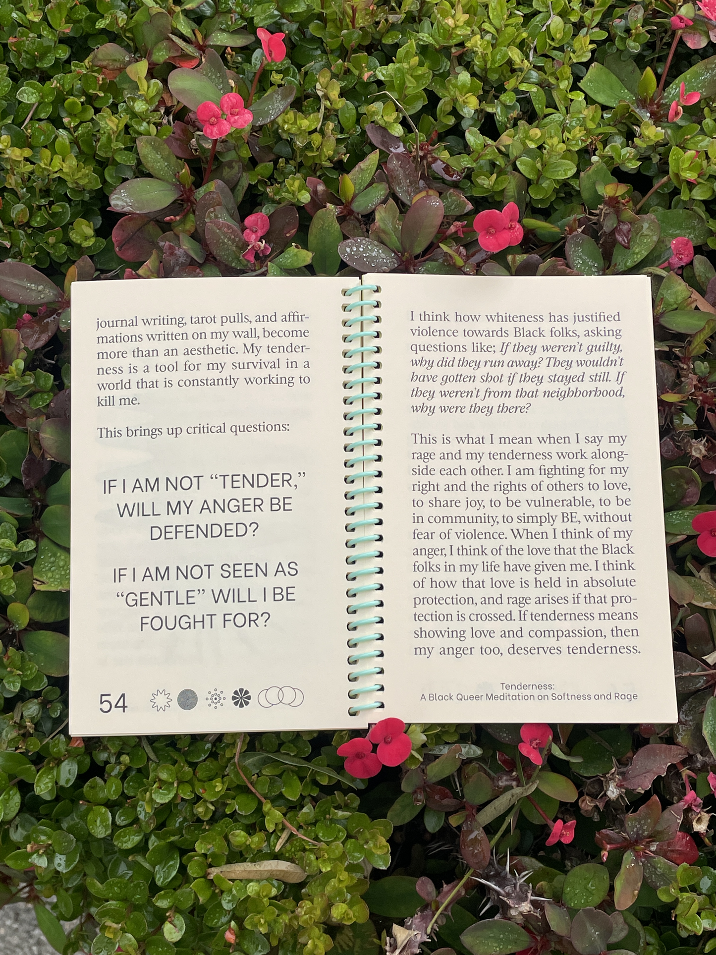 Tenderness: A Black Queer Meditation on Softness and Rage by Annika Hansteen-Izora