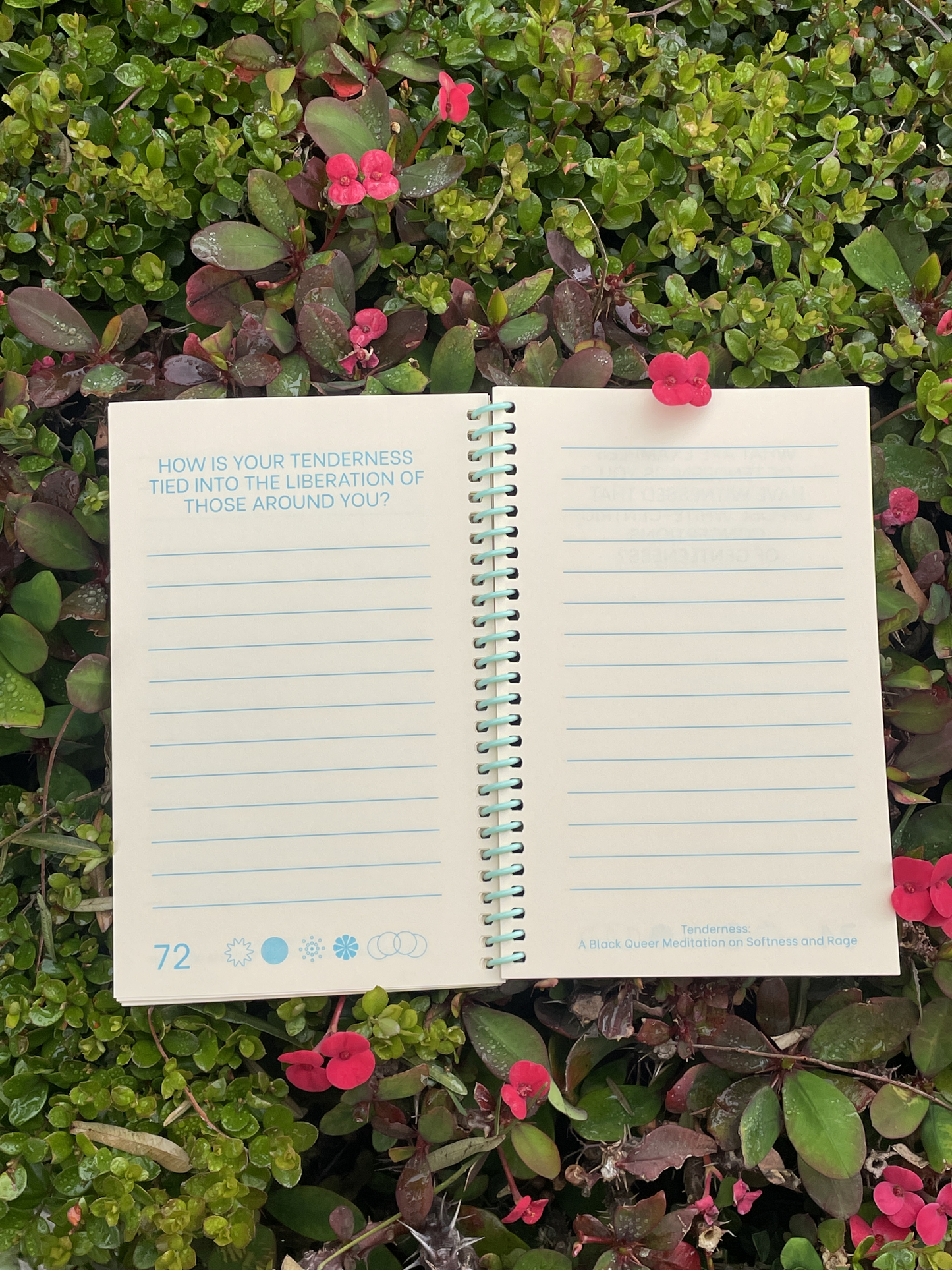 Tenderness: A Black Queer Meditation on Softness and Rage by Annika Hansteen-Izora