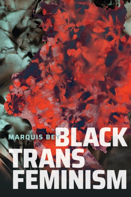 Black Trans Feminism by Marquis Bey