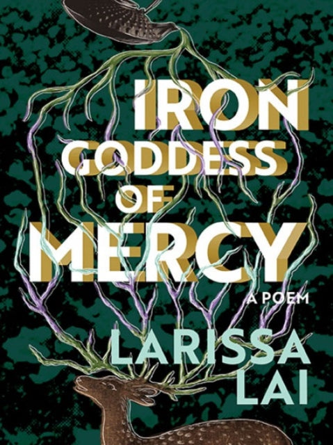 Iron Goddess Of Mercy by Larissa Lai