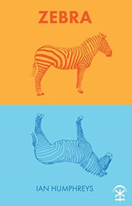 Zebra by Ian Humphreys