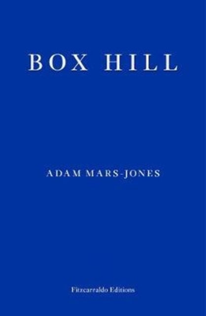 Box Hill by Adam Mars-Jones
