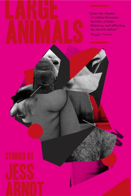 Large Animals by Jess Arndt