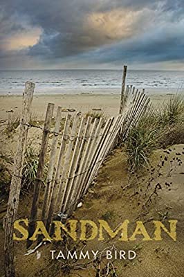 Sandman by Tammy Bird