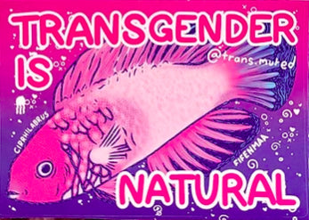 Transgender Is Natural sticker