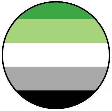 Aromantic Flag Pin Badge
