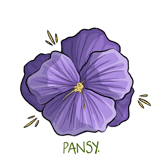 Pansy Sticker