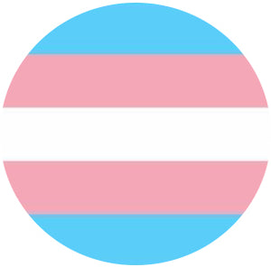 Trans Flag Badge – The Bookish Type