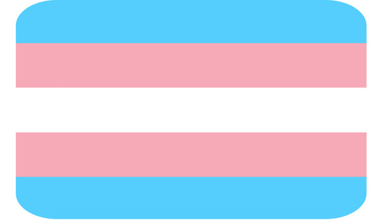 Trans Pride Flag Sticker