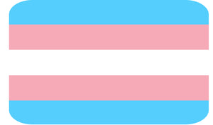 Trans Pride Flag Sticker