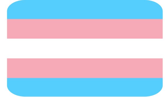 Trans Pride Flag Sticker